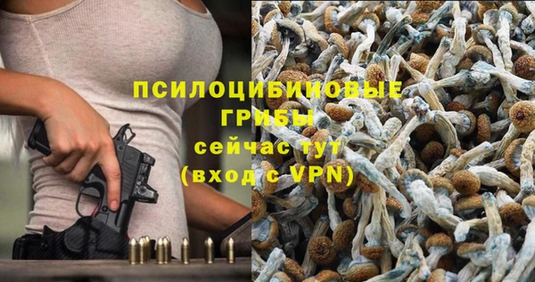 прущий лед Белокуриха